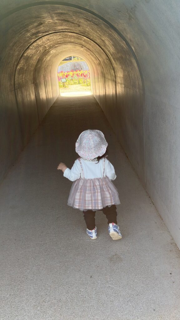 迷路花壇へ続くトンネル