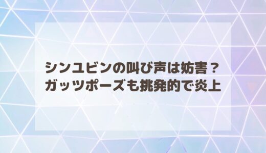 シンユビンの叫び声は妨害？ガッツポーズも挑発的で炎上