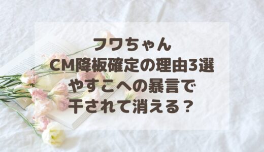 フワちゃんCM降板確定の理由3選！やすこへの暴言で干されて消える？