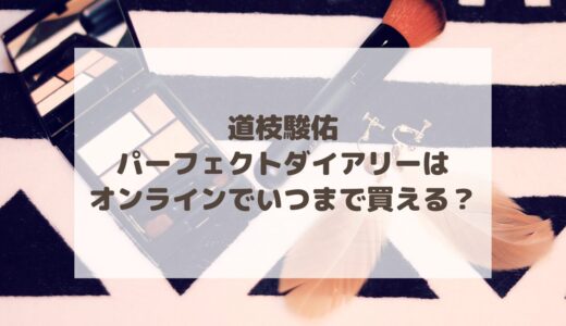 道枝駿佑×パーフェクトダイアリーはオンラインでいつまで買える？