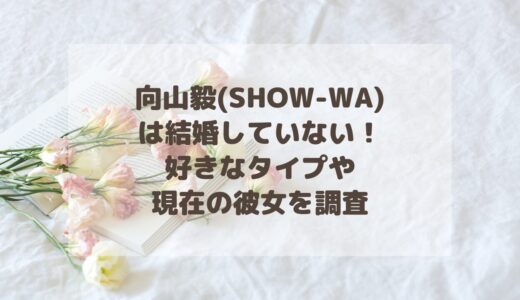 向山毅(SHOW-WA)は結婚していない！好きなタイプや現在の彼女を調査