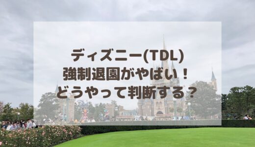 ディズニー(TDL)強制退園がやばい！どうやって判断する？