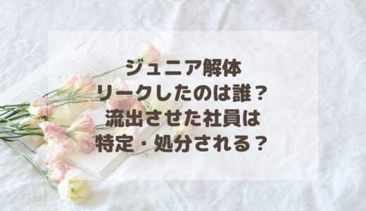 ジュニア解体をリークしたのは誰？流出させた社員は特定・処分される？