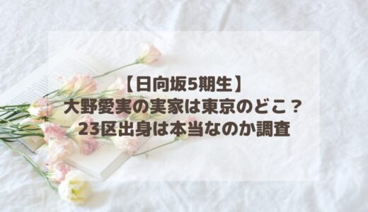 【日向坂5期生】大野愛実の実家は東京のどこ？23区出身は本当なのか調査