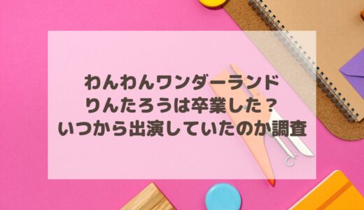 わんわんワンダーランドのりんたろうは卒業した？いつから出演していたのか調査