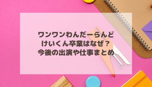 ワンワンわんだーらんどのけいくん卒業はなぜ？今後の出演や仕事まとめ